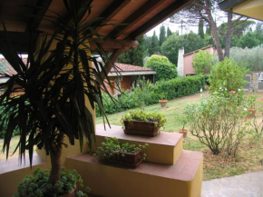 The Colours Of Chianti Mercatale